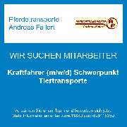 Pferdetransporte Andreas Fallert - Kraftfahrer (m/w/d) Schwerpunkt Tiertransporte