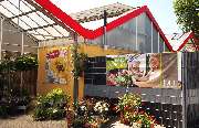 Pflanzencenter Dill - GALLERY
