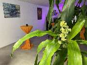 Pflege24.expert - GALLERY