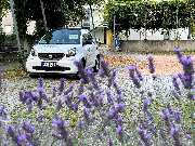 Pflegedienst Patrick Neff - GALLERY