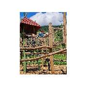 Pflegekindertreff - GALLERY