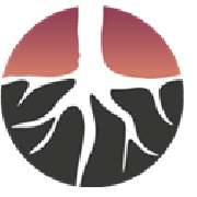 PflegeKompetenzTeam - LOGO