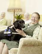 Pflegewohnstift Am Nordring - GALLERY