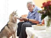 Pflegewohnstift City-Quartier - GALLERY