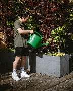 PHO - Noodlebar (Mitte) - GALLERY