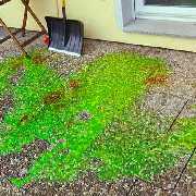 Phönix Bautrocknung GmbH - 4