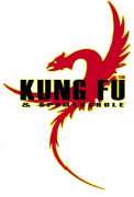 Phoenix Kung Fu & Sportschule Wismar - 1