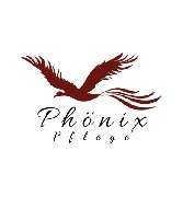 PhönixPflege - 1