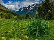 Photo-Martin - Landschaftsfotograf - Photo-Martin - Fotograf in Chemnitz