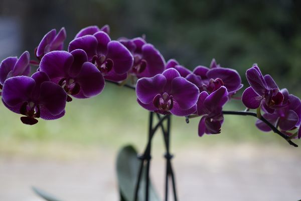 Physio Schorfheide Heilpraxis - GALLERY