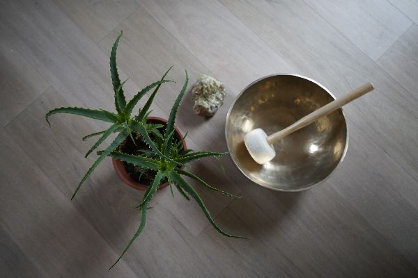 Physio Schorfheide Heilpraxis - GALLERY