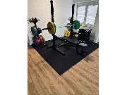 Physiomotion - GALLERY