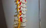 Physiotherapie Bielatal - GALLERY
