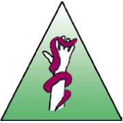 Physiotherapie Eric Driessen - LOGO