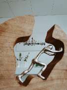 Physiotherapie -Gemeinschaftspraxis A. Junge und J. Rudolph - GALLERY