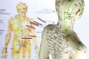 Physiotherapie & Heilpraxis Hauk - Egino Hauk, Heilpraktiker & Physiotherapeut 
Ich behandle Menschen jeden Alters (Privatpatienten)/Selbstzahler):
- Bei komplexen Beschwerden,
- bei hartnäckigen Beschwerden,
- bei unklaren Beschwerden
- Bei einem ersten 