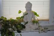 Physiotherapie/Massage/Yoga Spilker - GALLERY