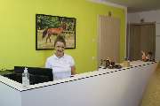 Physiotherapie und Handtherapie Meerwein - 3