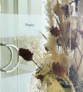 Physiotherapiepraxis Raya Al-Badaoui - GALLERY