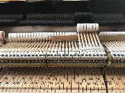 Piano Luxem - GALLERY