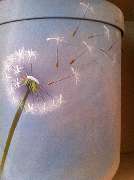 Pietät Wegmann GmbH - GALLERY