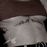 PIOPSTL Tattoo Studio - GALLERY