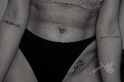 PIOPSTL Tattoo Studio - GALLERY