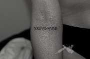 PIOPSTL Tattoo Studio - GALLERY