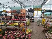 Pirig Gartencenter - GALLERY