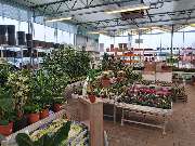 Pirig Gartencenter - GALLERY