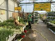 Pirig Gartencenter - GALLERY