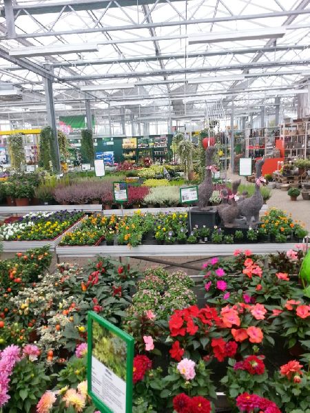 Pirig Gartencenter - GALLERY