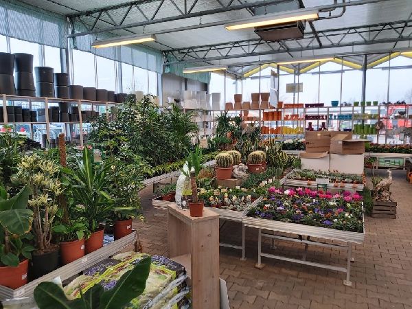 Pirig Gartencenter - GALLERY