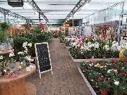 Pirig Gartencenter - GALLERY