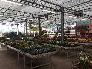 Pirig Gartencenter - GALLERY