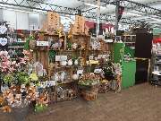 Pirig Gartencenter - GALLERY