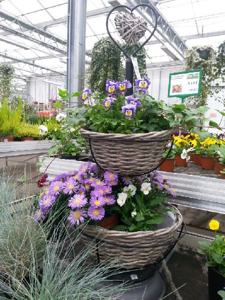 Pirig Gartencenter - GALLERY