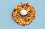 Pizza Orange Octopus - GALLERY