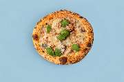 Pizza Orange Octopus - GALLERY