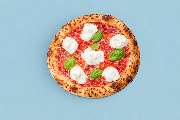 Pizza Orange Octopus - GALLERY