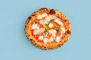 Pizza Orange Octopus - GALLERY