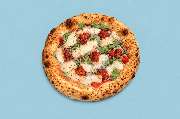 Pizza Orange Octopus - GALLERY