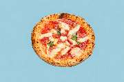 Pizza Orange Octopus - GALLERY