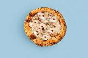 Pizza Orange Octopus - GALLERY