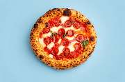 Pizza Orange Octopus - GALLERY