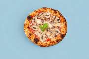 Pizza Orange Octopus - GALLERY