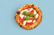 Pizza Orange Octopus - GALLERY