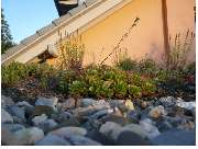 PlantaPhant GmbH - GALLERY