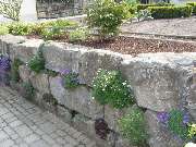 PlantaPhant GmbH - GALLERY