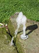 PlantaPhant GmbH - GALLERY